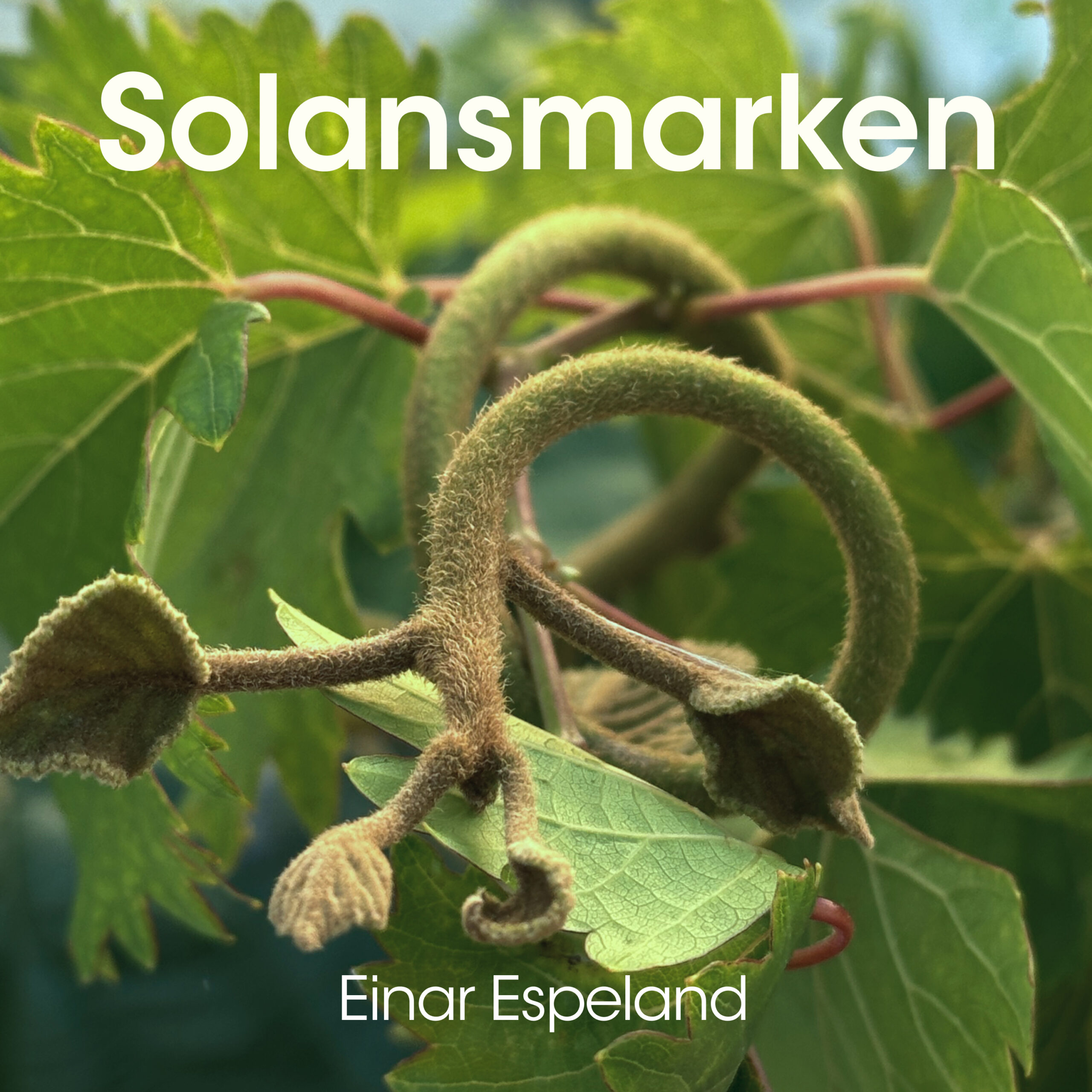 Solansmarken (album)